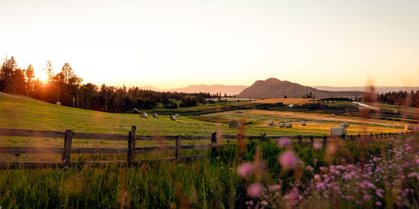 Scenic view of field against sky during sunset