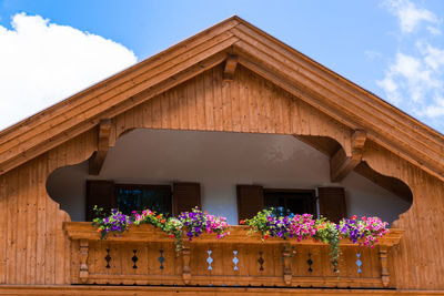 Low angle view of potted plants against building