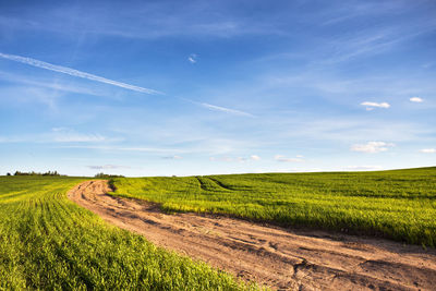 Scenic view of agricultural field against sky