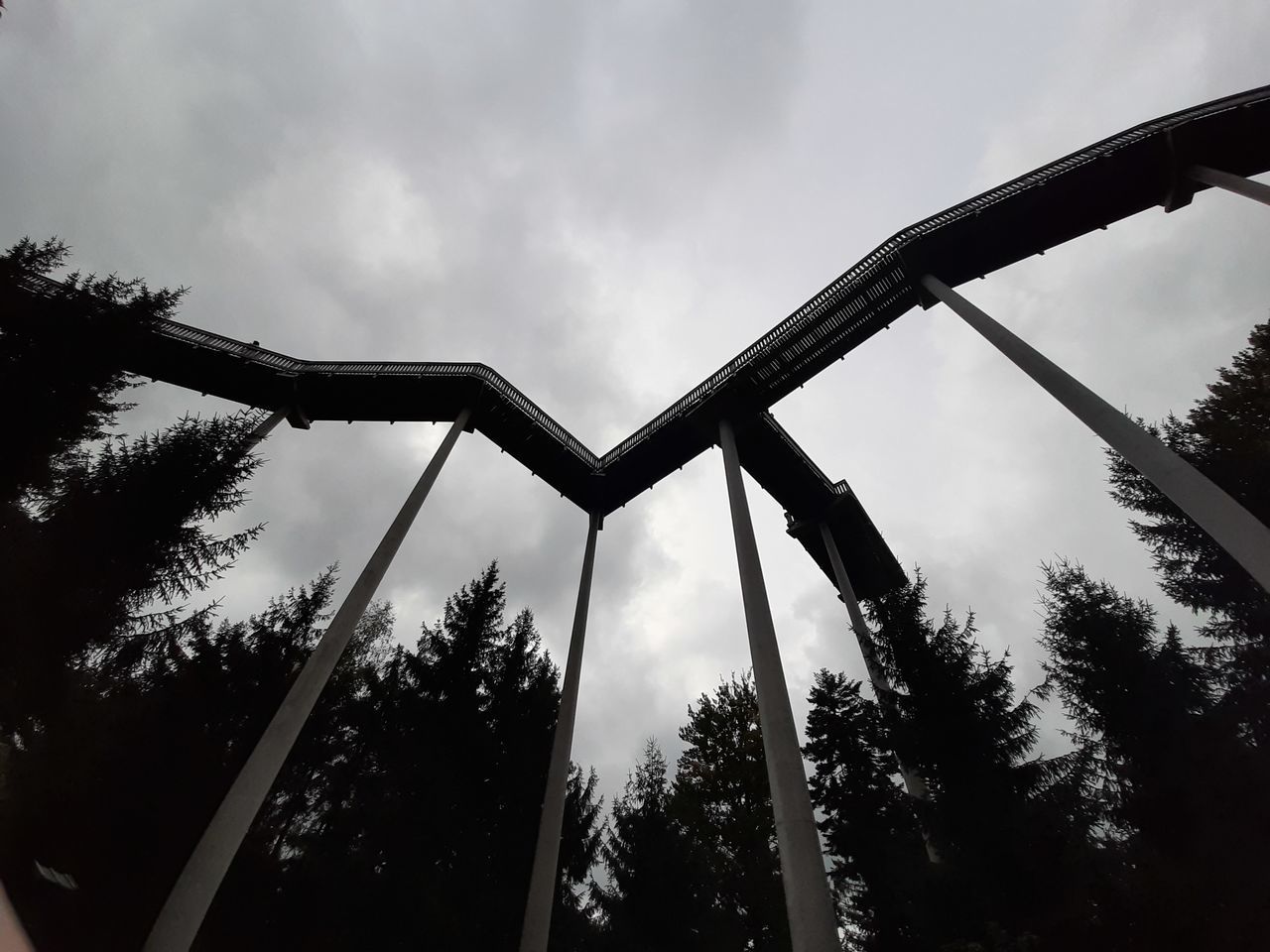 LOW ANGLE VIEW OF SILHOUETTE TREES AGAINST SKY