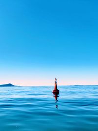 Rear view of man in sea against clear blue sky