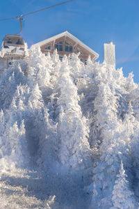 winter
