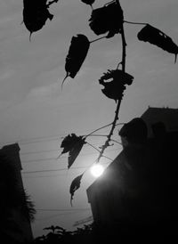 Low angle view of silhouette man against sky