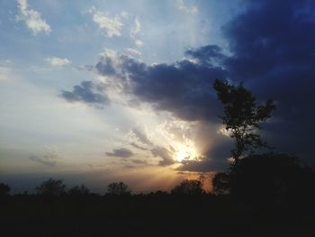 Silhouette trees against sky during sunset