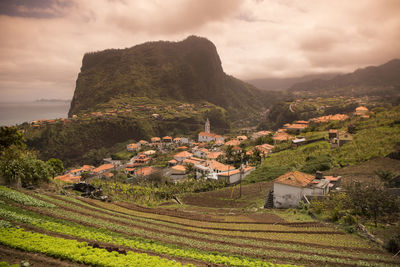 Scenic view of agricultural field by houses against sky