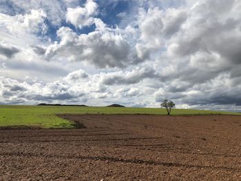 Scenic view of agricultural field against sky