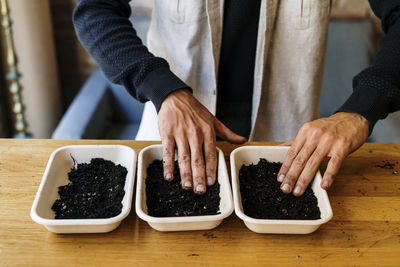 Man arranging microgreen plants in trays