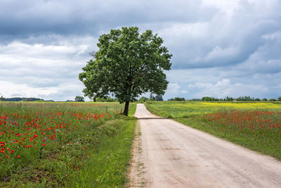 Scenic view of road amidst field against sky