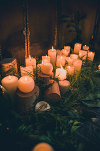 Close-up of lit candles on plant