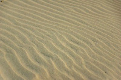 Full frame shot of sand dune