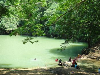 Scenic view of lake against trees