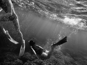 People diving under sea