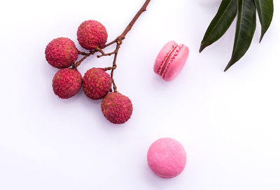 Directly above shot of lychee on white background