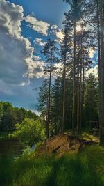 Scenic view of forest against cloudy sky