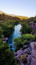 Scenic view of river amidst trees against clear sky