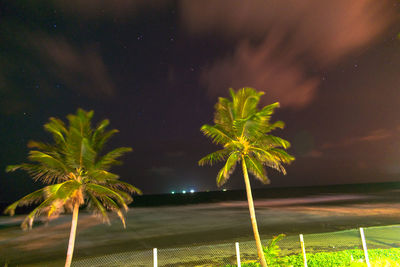 Palm tree against sky at night