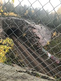 View of monkey on chainlink fence