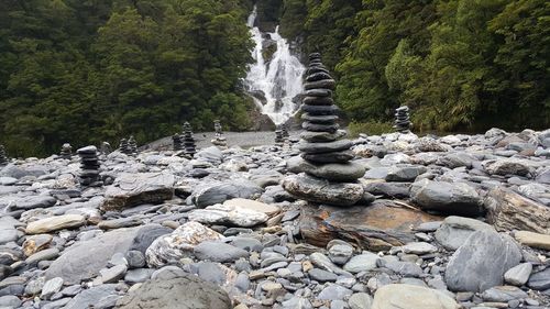 Scenic view of waterfall in forest