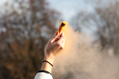 Midsection of person holding leaf against sky