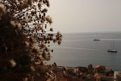 Scenic view of sea against clear sky