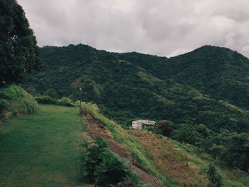 Scenic view of grassy field against sky