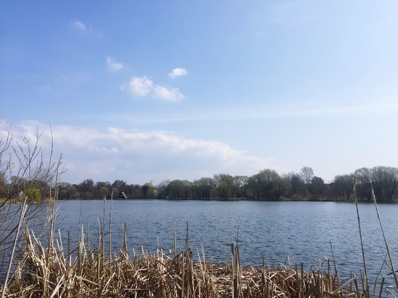 water, lake, tranquil scene, tranquility, sky, scenics, beauty in nature, nature, blue, lakeshore, grass, plant, growth, idyllic, tree, reflection, day, calm, outdoors, river