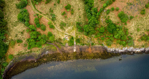 Scenic view of lake by trees in forest