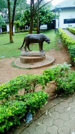 View of statue in park