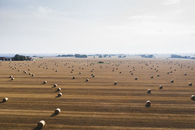 View of bales on field