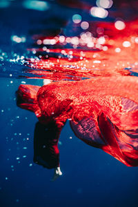 Artistic shot of a red dress unser water