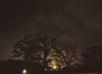 Low angle view of silhouette trees against sky