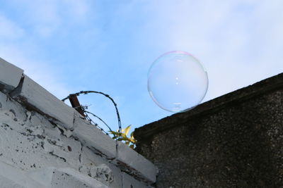 Low angle view of bubbles against sky