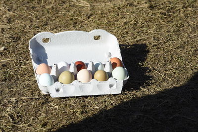 Eggs as food for baking and cooking, a natural product