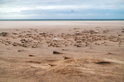 Surface level of beach against sky