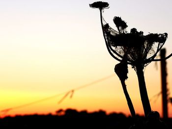 Close-up of silhouette plant against sky at sunset