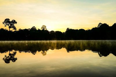 Reflection of trees in calm lake