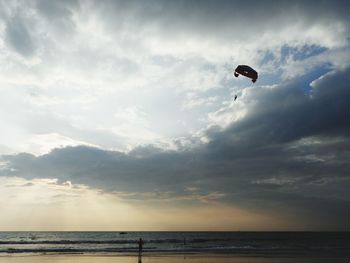Person paragliding over sea against sky