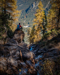 Rear view of man sitting on rock at forest during autumn