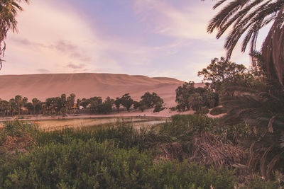 Semi arid desert with lagoon 