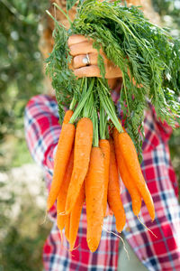 Farmer holding carrots at farm