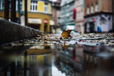 Buildings reflecting in puddle on street