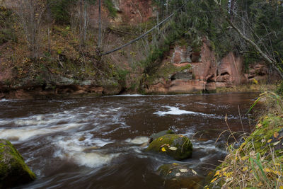 River flowing through rocks in forest