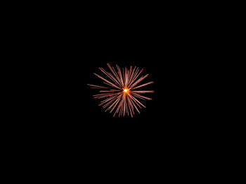 Low angle view of firework display against sky at night