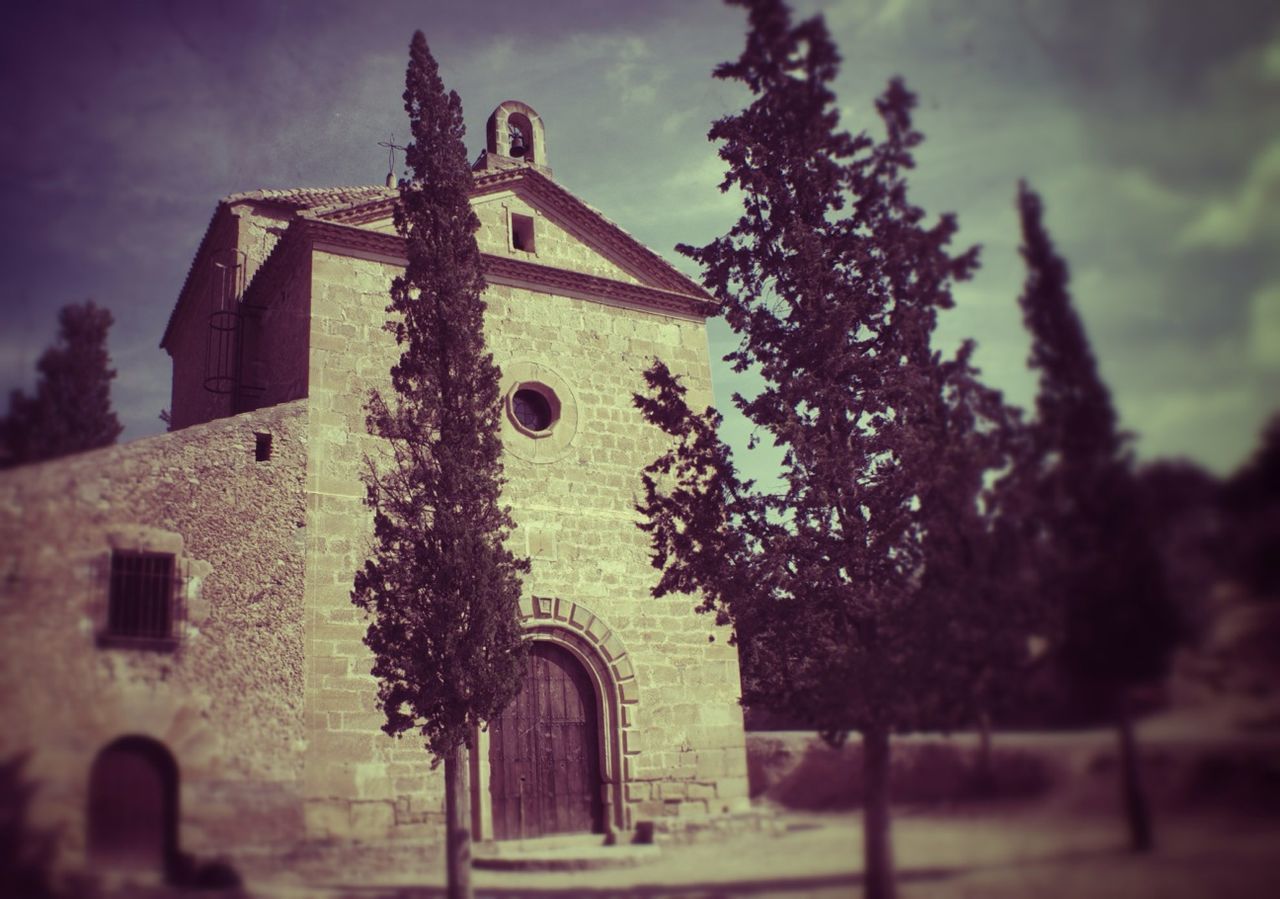 architecture, building exterior, built structure, church, low angle view, religion, tree, place of worship, sky, spirituality, arch, old, growth, outdoors, facade, cross, no people, day