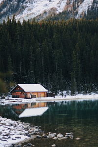 Scenic view of lake by trees during winter