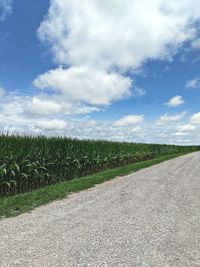 Road amidst field against sky