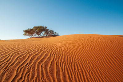 Scenic view of desert against clear blue sky