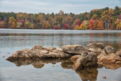 Scenic view of lake against sky during autumn