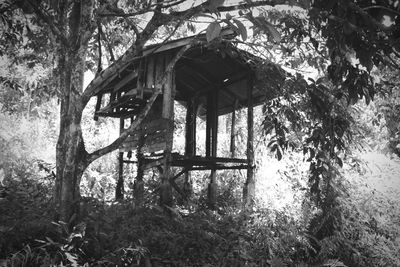 Wooden structure on field in forest