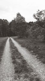 View of empty road along trees